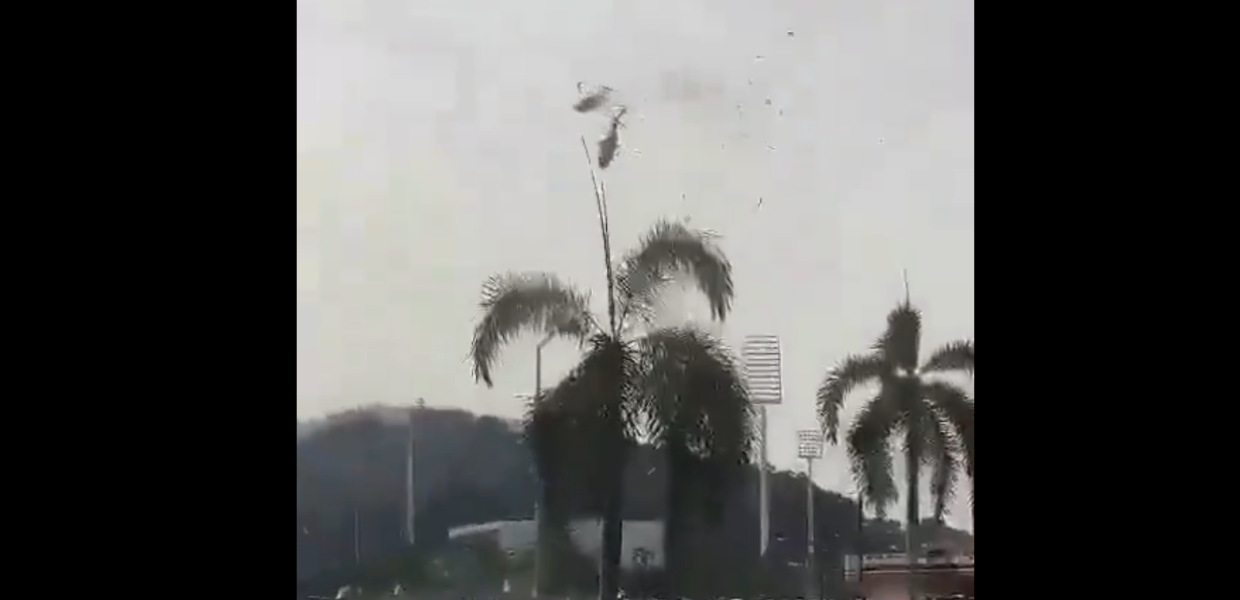 Μαλαισία ελικόπτερα