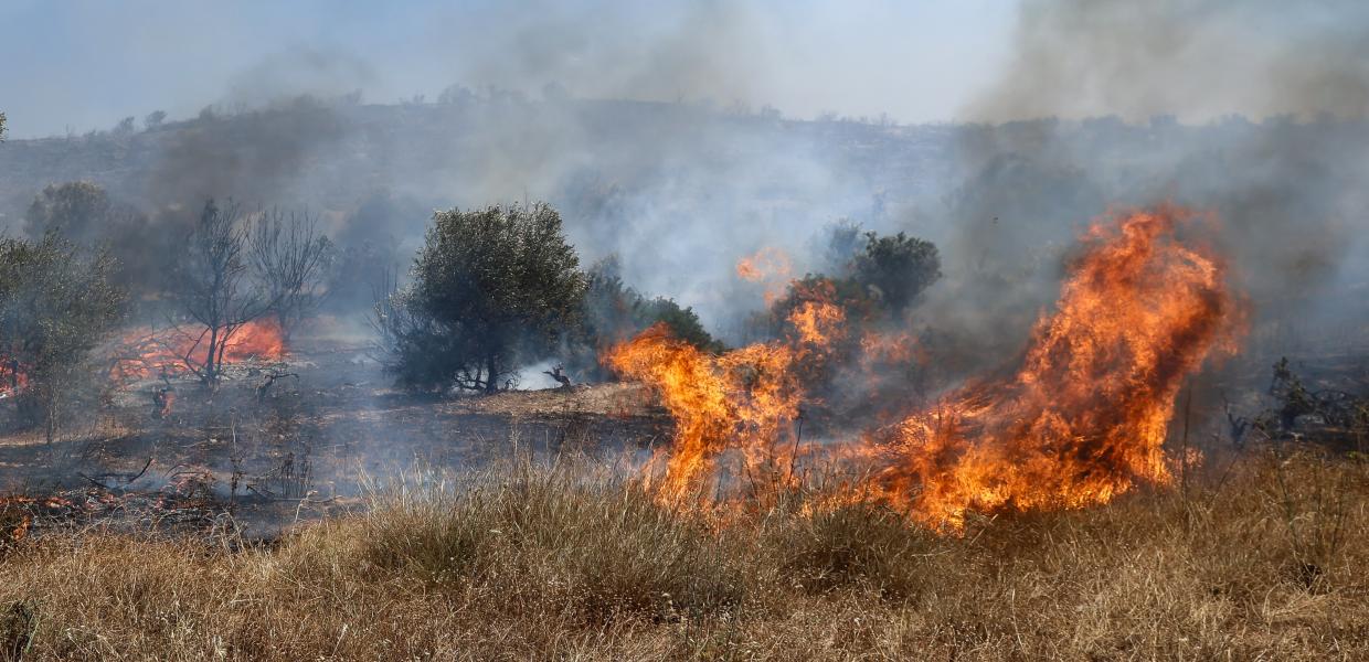 Φωτιά σε καίει χόρτα στην Βάρης Κορωπίου